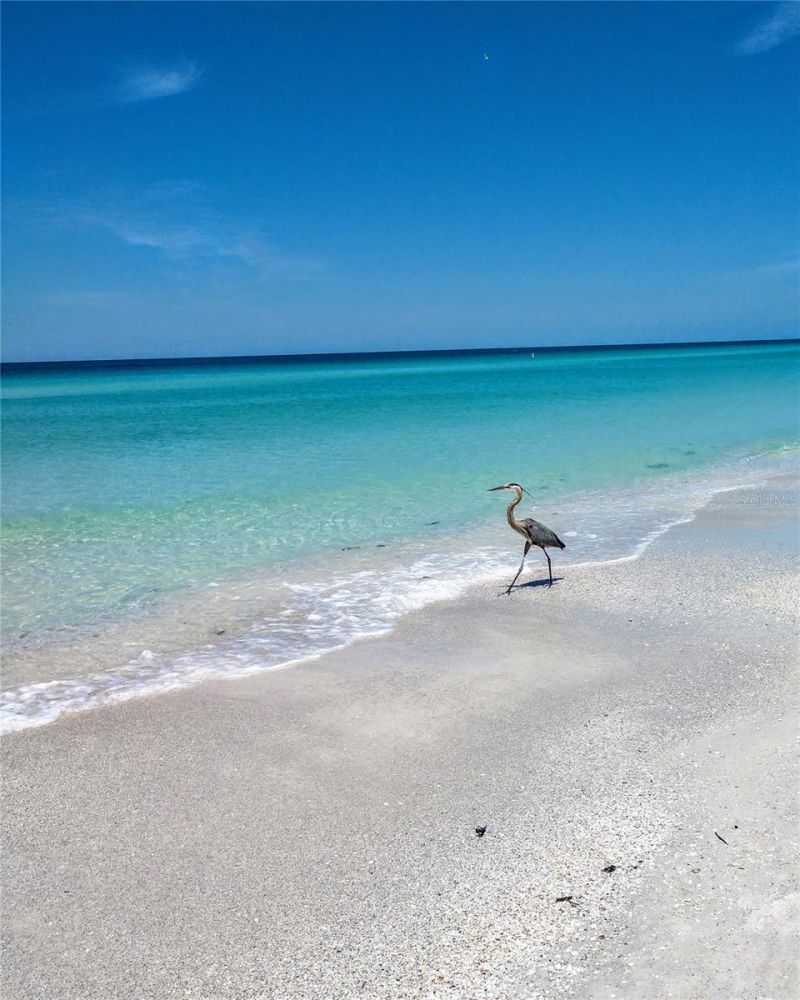 12301 Mosswood Place, Lakewood Ranch, FL 34202 Photo