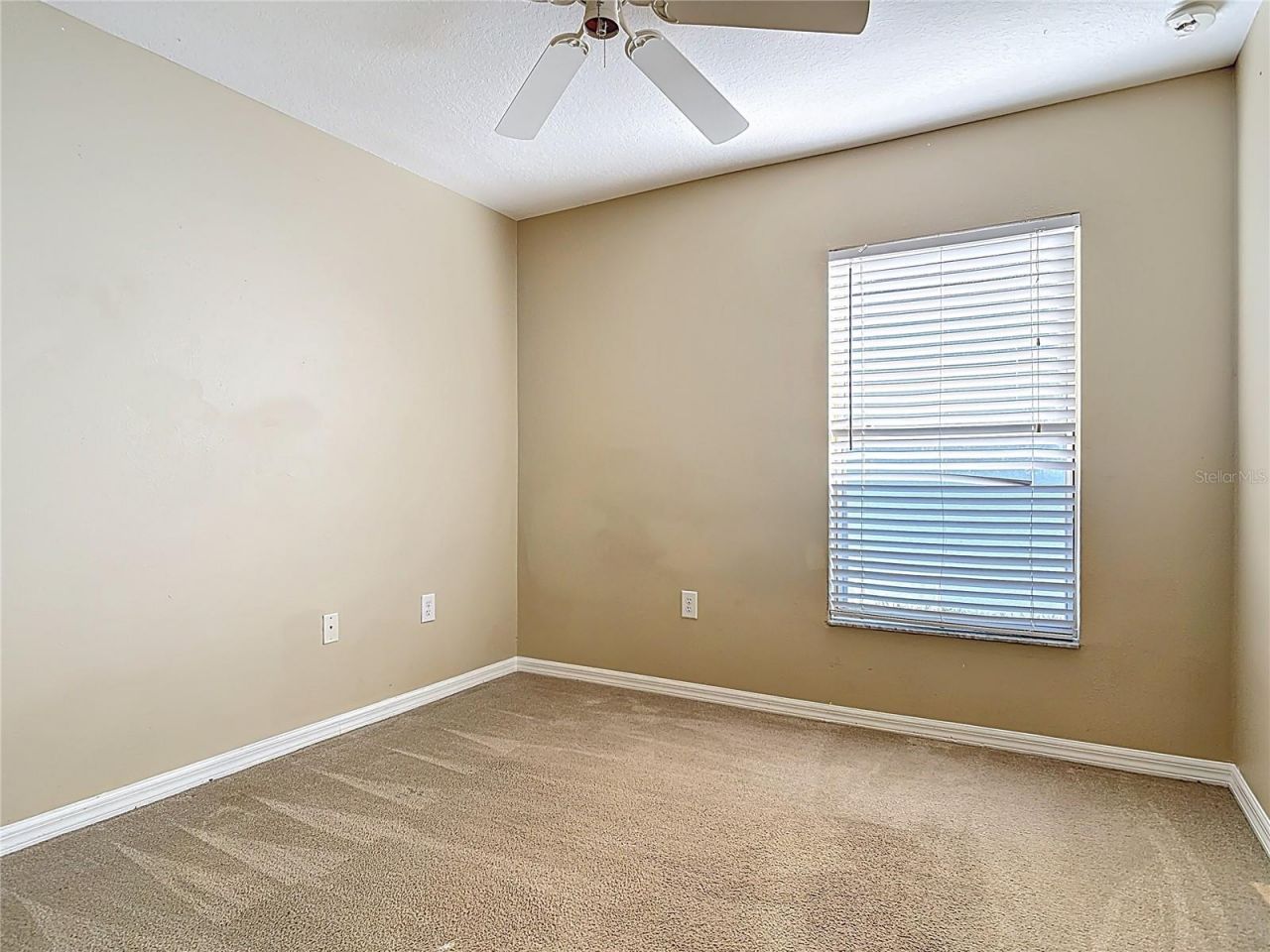 530 Coral Trace Boulevard, Edgewater, FL 32132 Photo