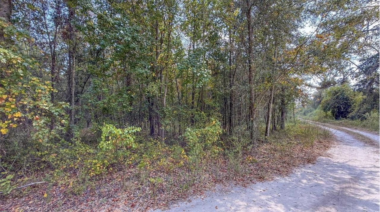 Tbd-1 SE Us-41 Highway, White Springs, FL 32096 Photo