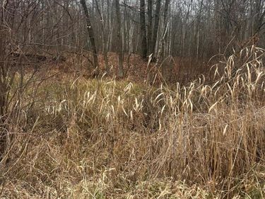 TBDxx Lake Camile, Randall, MN 56475