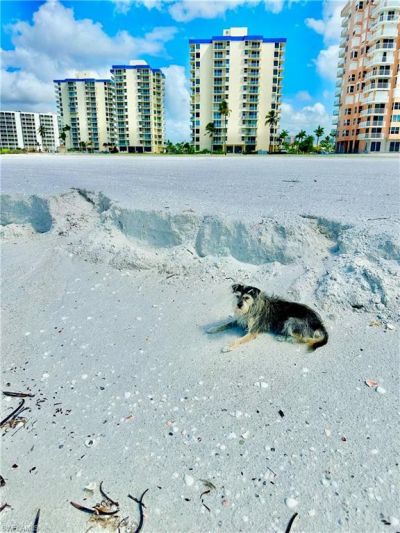 7360 Estero Blvd, Unit 802, Fort Myers Beach, FL 33931 Photo