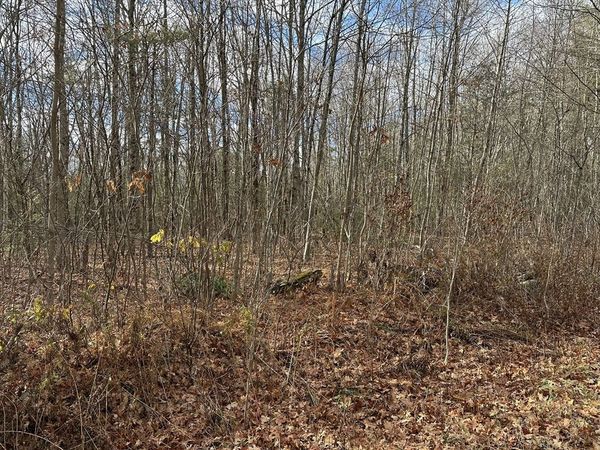 Lot 9 Jourdan Road, Montgomery, MA 01085