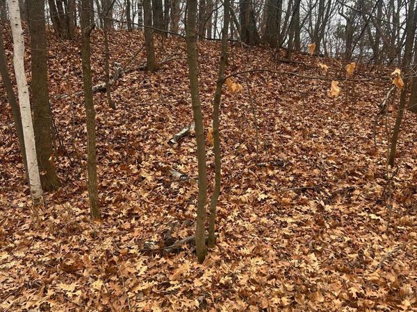 TBD Golf Course Cir, Cushing, MN 56443