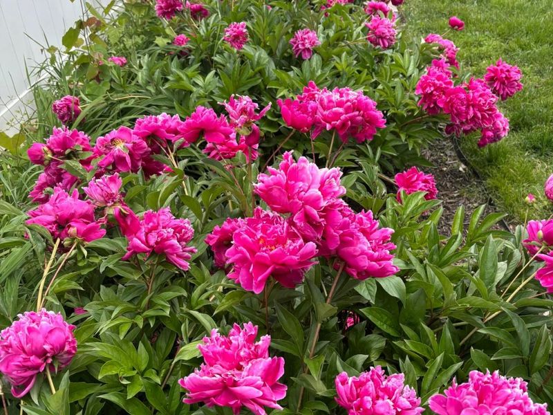 860 Palmer Road, Columbus, OH 43212 Photo 23