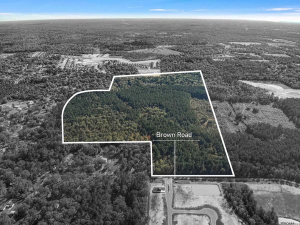 14135 acres Brown Rd, Denham Springs, LA 70726