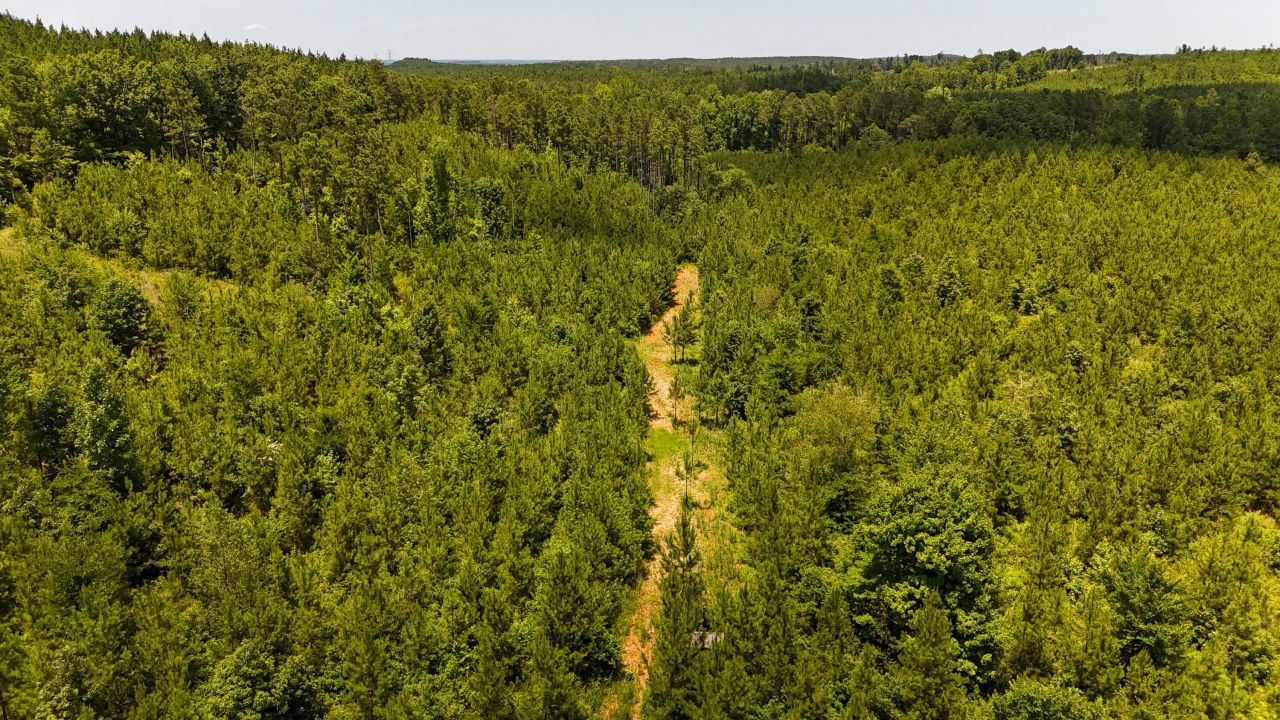 0 Cool Branch Rd Photo 10