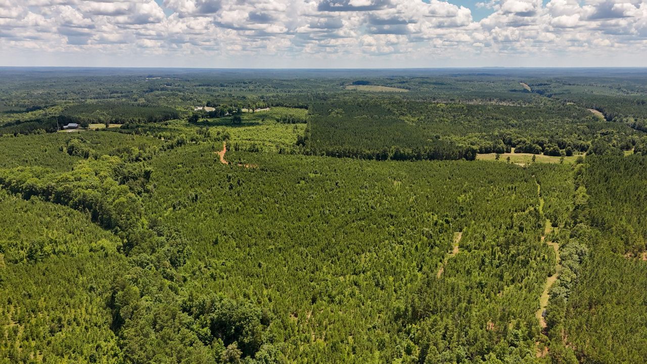 0 Cool Branch Rd Photo 13