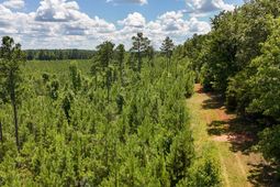 0 Cool Branch Rd photo 4