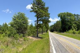 0 Cool Branch Rd photo 4