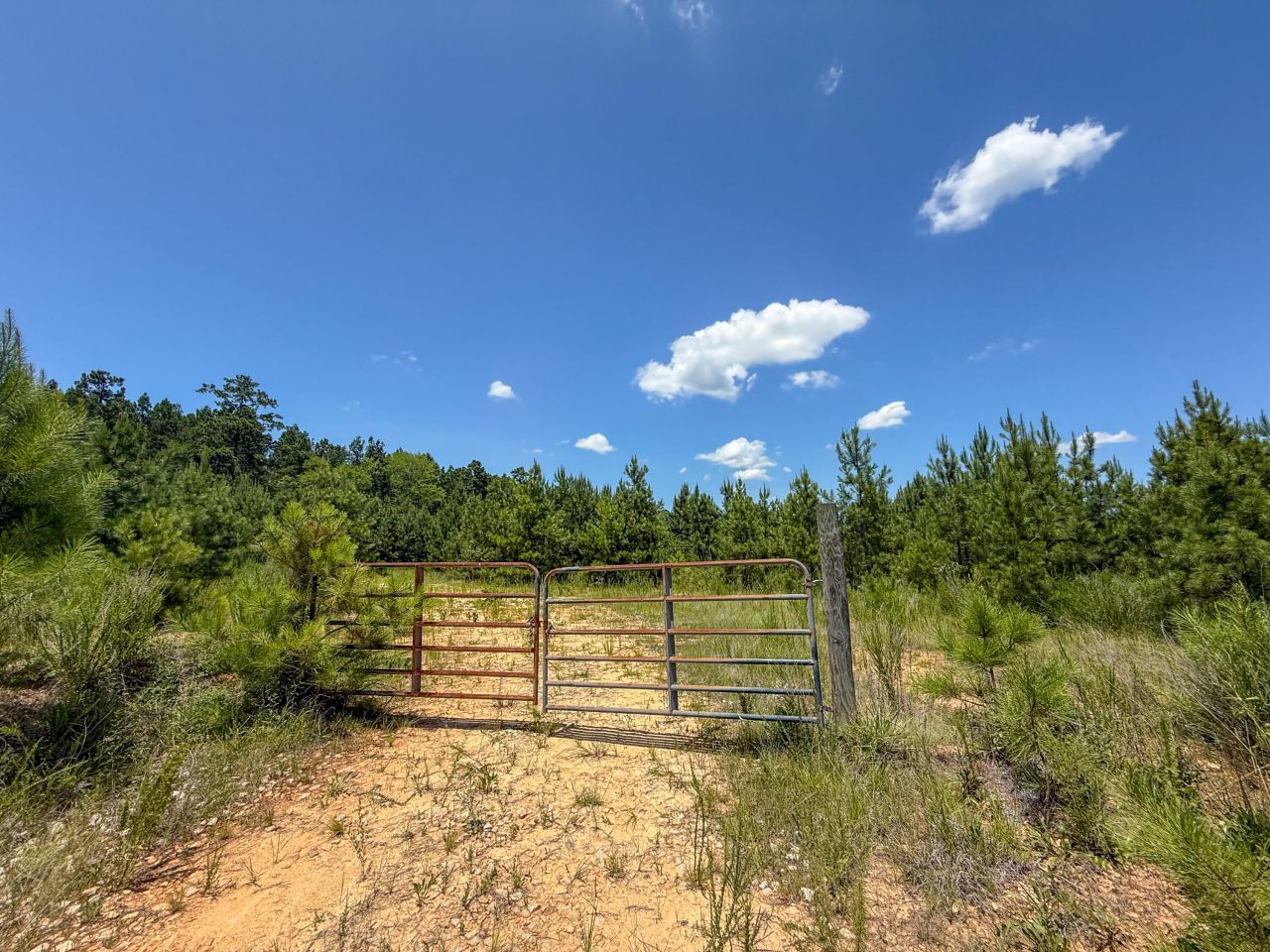 0 Cool Branch Rd Photo 4