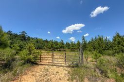 0 Cool Branch Rd photo 4