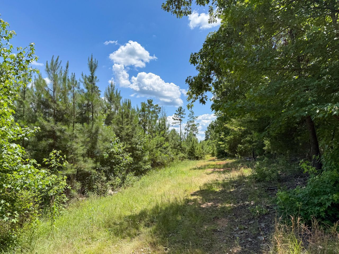 0 Cool Branch Rd Photo 5