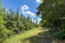 0 Cool Branch Rd photo 4