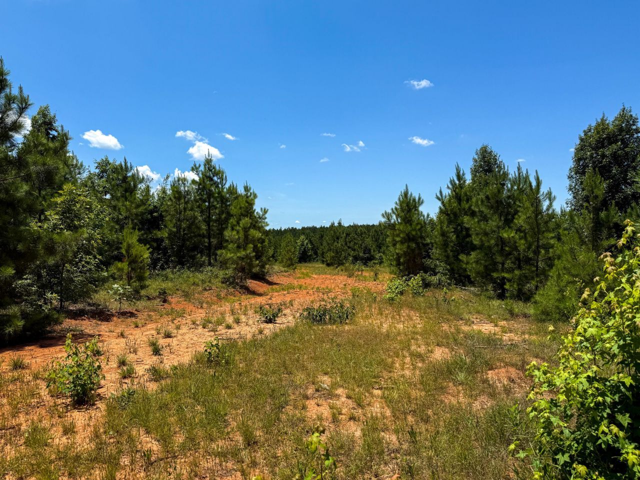 0 Cool Branch Rd Photo 8