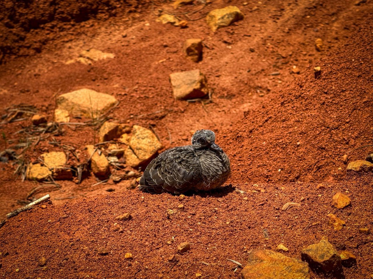 0 Cool Branch Rd Photo 9