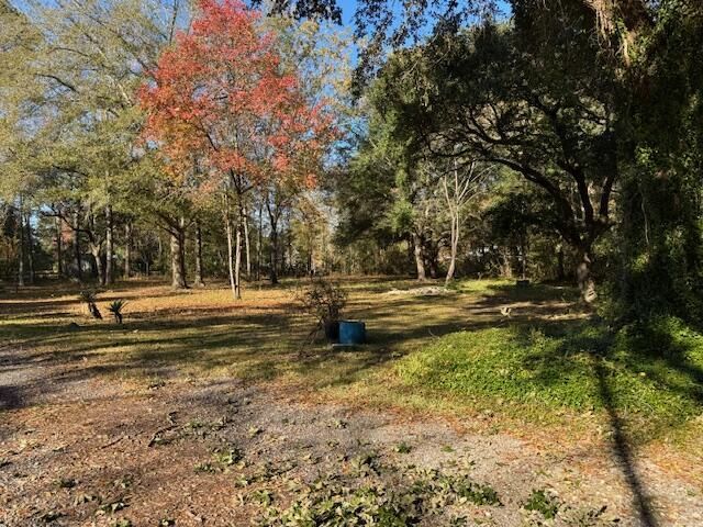 242 Bluebird Lane Photo 11