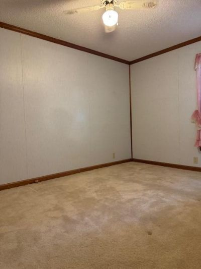 242 Bluebird Lane Photo 7