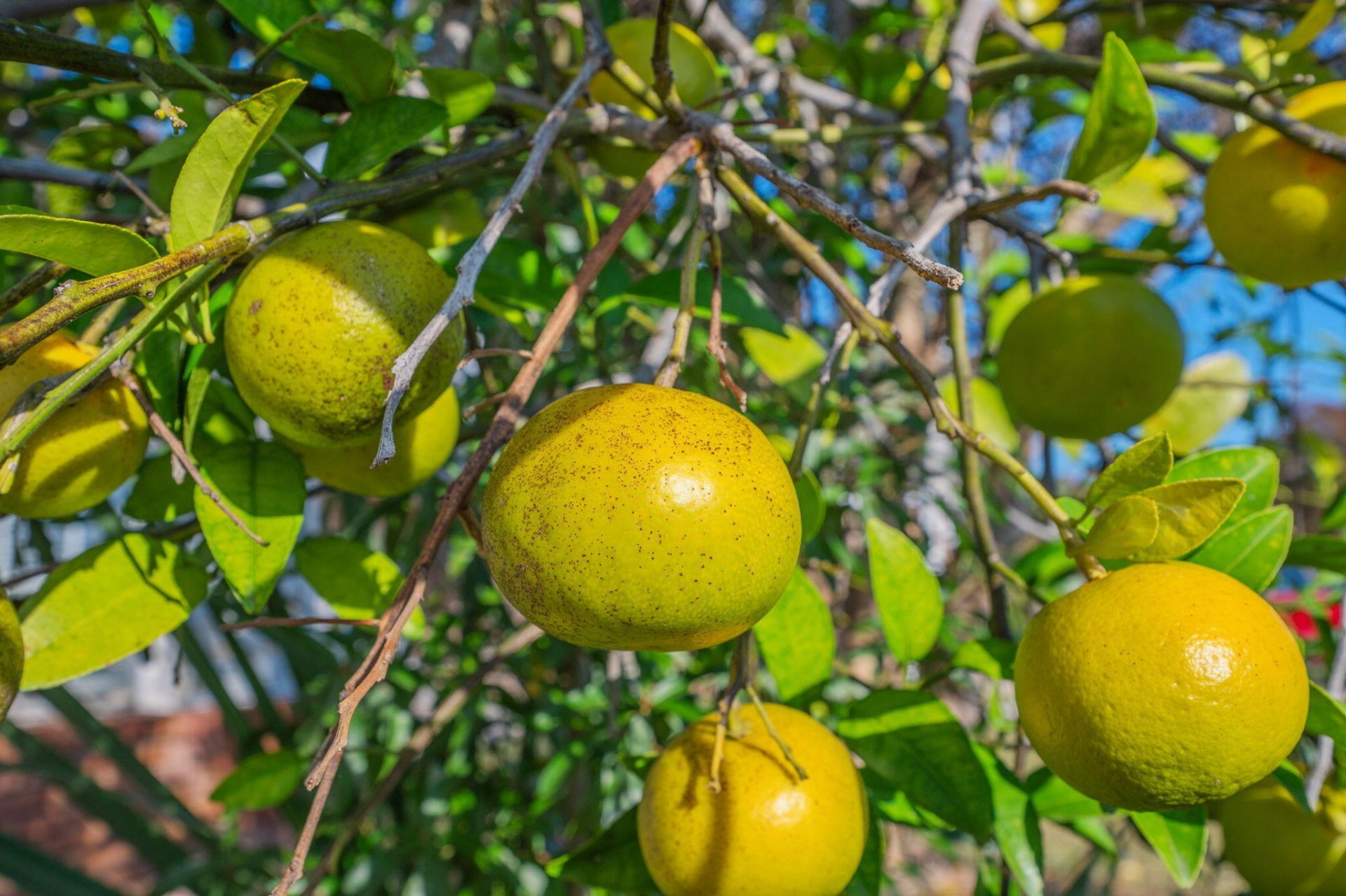 130 Scranton Street, Fort Walton Beach, FL 32547 Photo