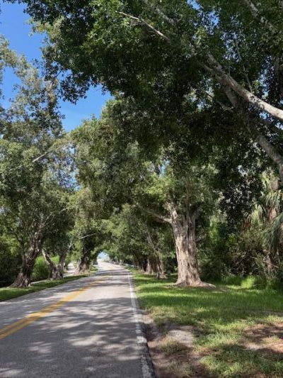 10691 SE Jupiter Narrows Drive, Hobe Sound, FL 33455 Photo