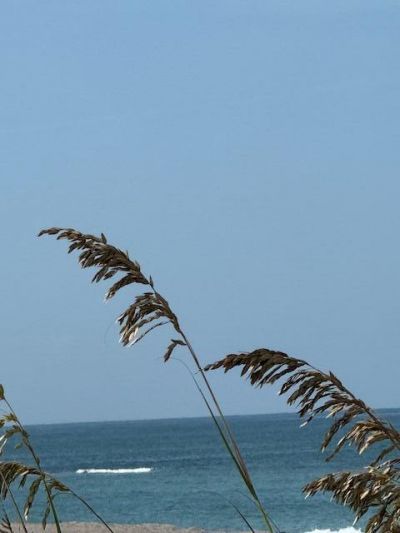 10691 SE Jupiter Narrows Drive, Hobe Sound, FL 33455 Photo