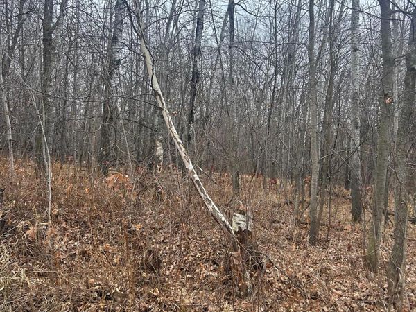 TBDx Golf Course dr, Cushing, MN 56443