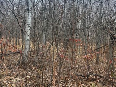 TBDxx Golf Course Dr, Cushing, MN 56443