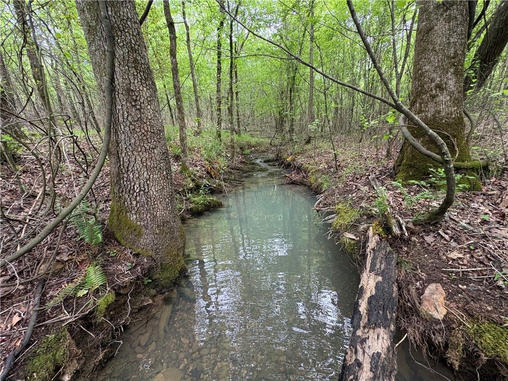 Tract 7 Nwf 517, Other Ar, AR 71935 Main Photo