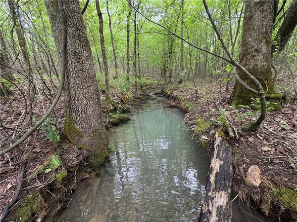 Tract 7 NWF 517, Other AR, AR 71935