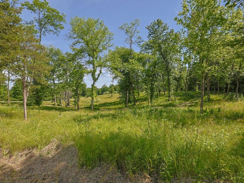 8881 Harrison Avenue, Whitewater Township, OH 45002 Photo 3
