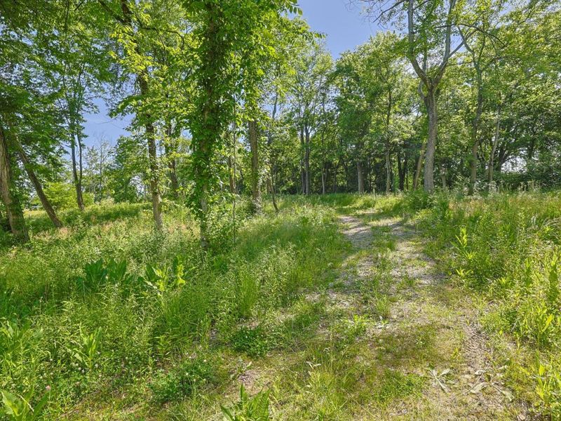 8881 Harrison Avenue, Whitewater Township, OH 45002 Photo 6