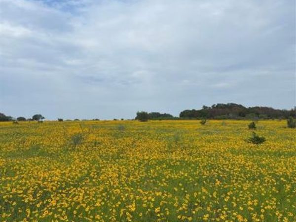 0000 Bison Ridge Drive, Unit Lot 155, Stephenville, TX 76401