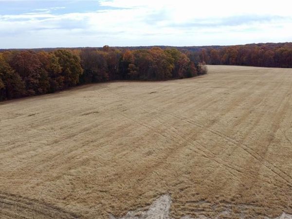 Tract 11 Polston Ln, Marthasville, MO 63357