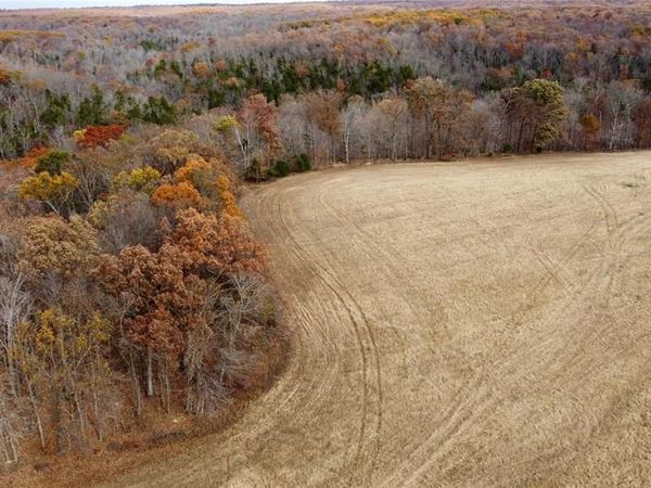 Tract 5 Polston Ln, Marthasville, MO 63357