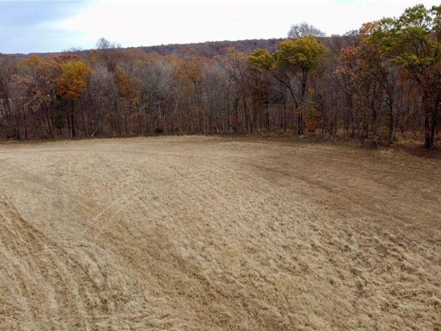 Property Image 6