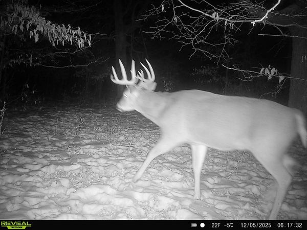 TBD 294th Street, Red Eye Twp, MN 56477