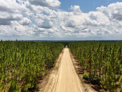 0 Beaver Dam Road, Cassatt, SC 29032