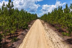 0 Beaver Dam Road photo 4