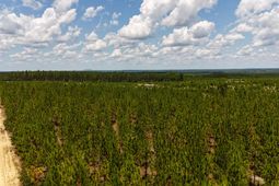 0 Beaver Dam Road photo 4