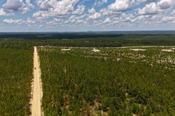 0 Beaver Dam Road photo 4