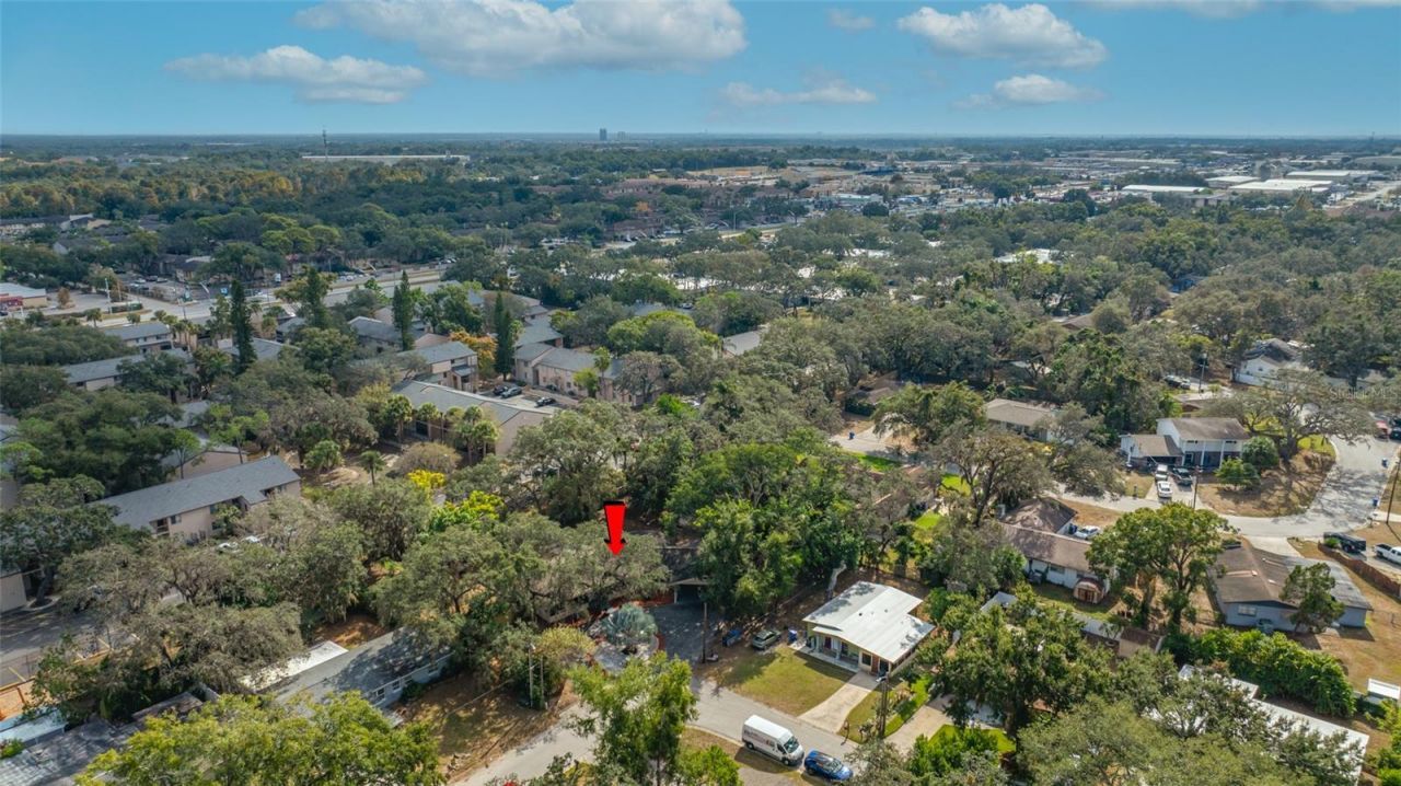 7601 Pine Hill Drive, Tampa, FL 33617 Photo