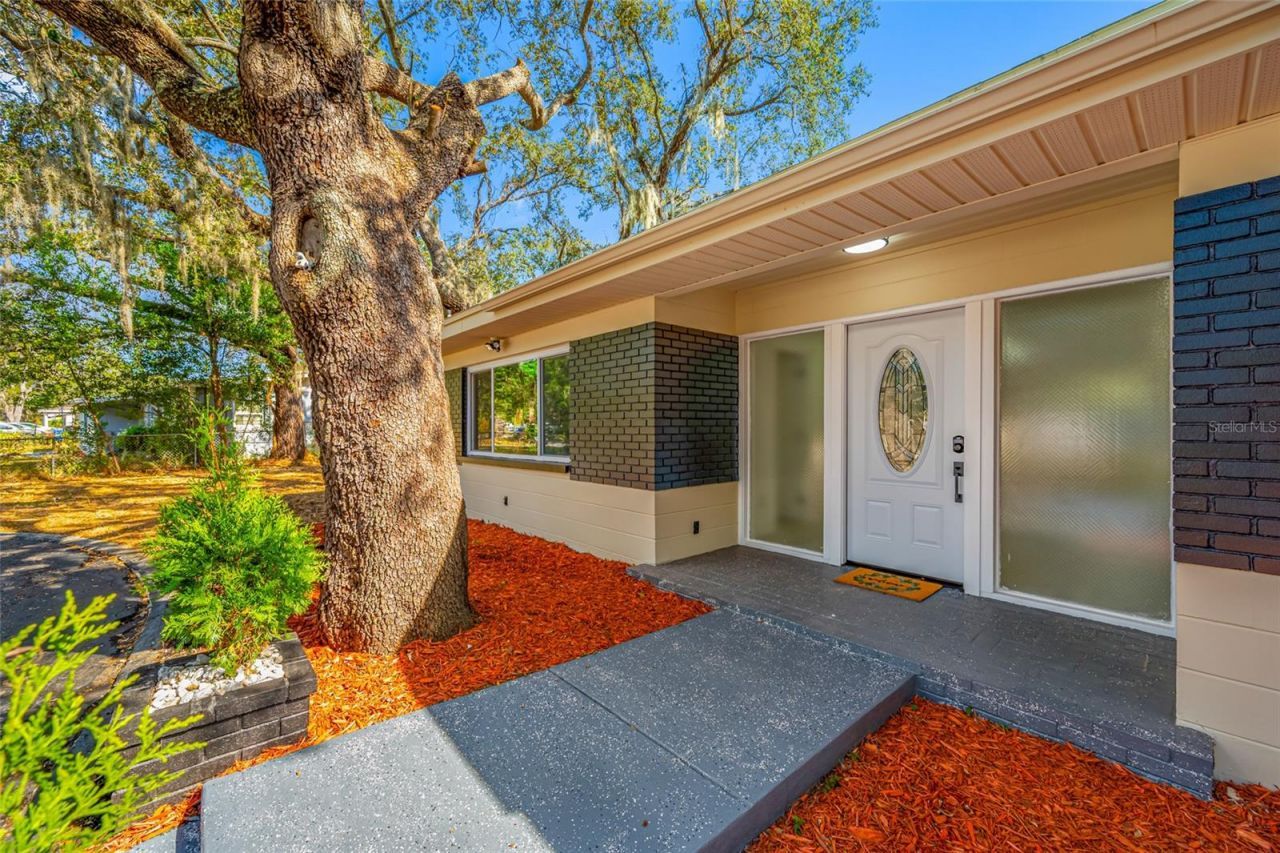 7601 Pine Hill Drive, Tampa, FL 33617 Photo