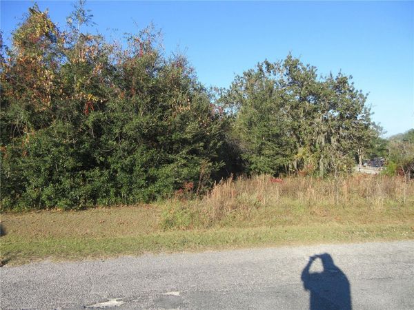 TBD SE 17TH STREET, OCKLAWAHA, FL 32179