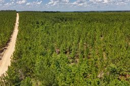 0 Beaver Dam Rd photo 4