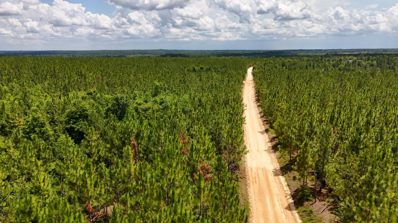 0 Beaver Dam Rd Photo 3