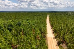 0 Beaver Dam Rd photo 4