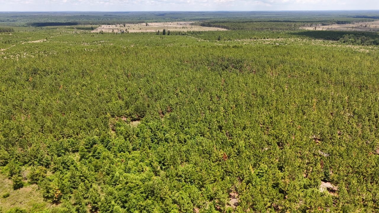 0 Beaver Dam Rd Photo 4