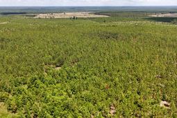 0 Beaver Dam Rd photo 4