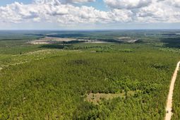 0 Beaver Dam Rd photo 4