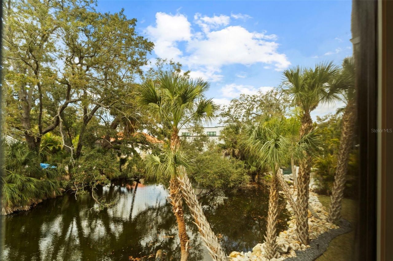 423 S Royal Poinciana Drive, Tampa, FL 33609 Photo