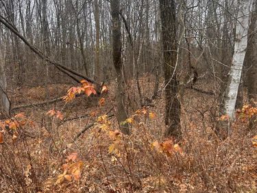 TBDxxx Golf Course Dr, Cushing, MN 56443